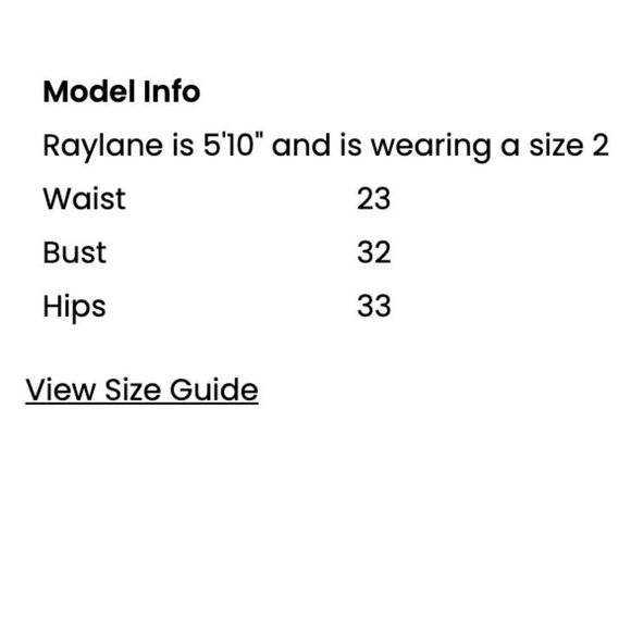 NILI LOTAN Jenna Pants Tiger Print Straight Leg  Low Rise Size 2 or 27 - Picture 14 of 15